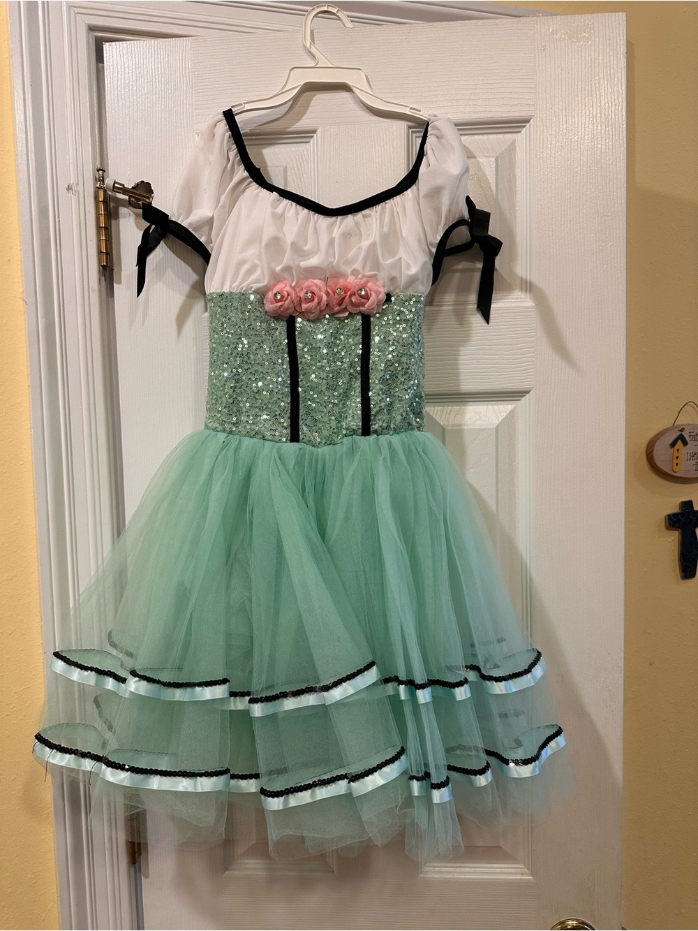 Weissman Mint Green Tulle Sequin Costume Dress with White Bodice and Pink Roses